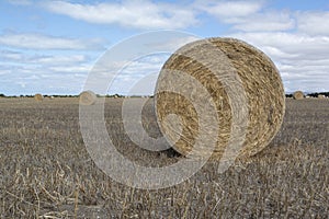 Hindmarsh Island Agriculture: Field Hay Bales