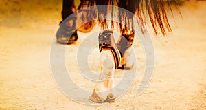 The hindquarters of a chestnut horse with long tail, in the context of equestrian sport. The competitive sports and animals