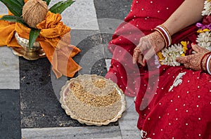 Hindu bride and groom held grain in their hands, participating in the wedding ritual. Beautiful traditional Indian wedding