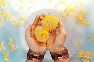 Hindu Ceremonies, Rituals, Spirituality, Religion and Hope Concept. Woman Holdings Marigold Flowers in Water , Respect and photo