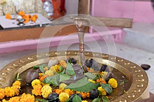 hindu god shivalinga worshiped with flower and bell paper at temple