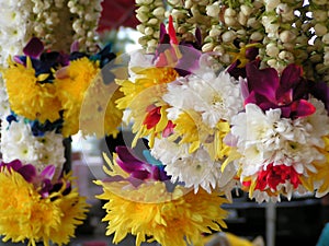 Hindu Leis