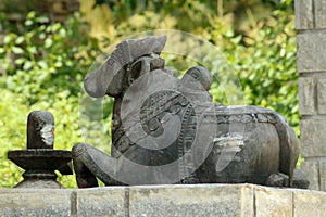 Hindu religion worships bull as a Lord Shiva pet. Usually it is found in all the temples. It is because the good things it offers