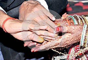 Hindu Rituals haldi on bride`s hands havan phere photo