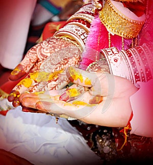 Hindu Rituals haldi on Groom & bride`s hands havan phere photo