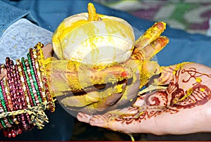 Hindu Rituals haldi on bride`s hands havan phere photo