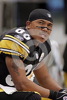 Hines Ward