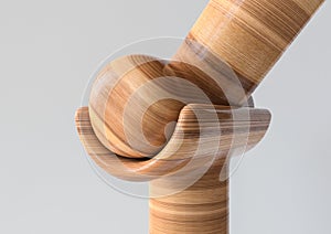 Hinge Joint - Joint types of bones in wood look - 3D Rendering