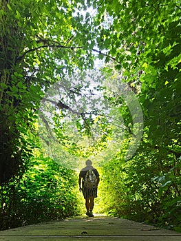 Hinking in the forest