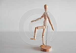 Hip flexion on wooden model, Iliopsoas, Rectus Femoris, Sartorius, Tensor Fasciae Latae muscles photo