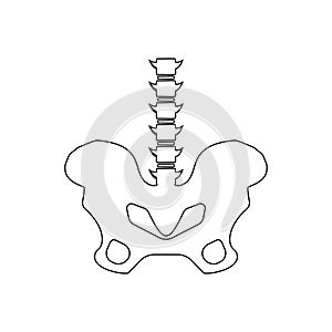 hipbone icon. Element of Human parts for mobile concept and web apps icon. Outline, thin line icon for website design and