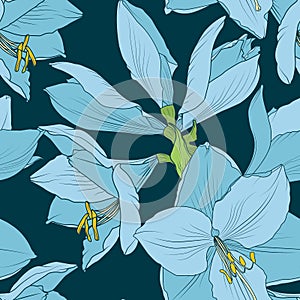 Hippeastrum amaryllis seamless pattern blue navy