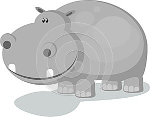 Hippo