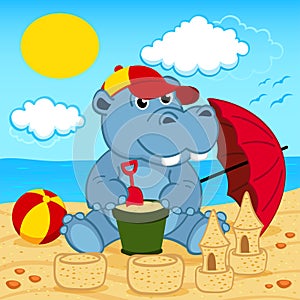 Hippo on beach