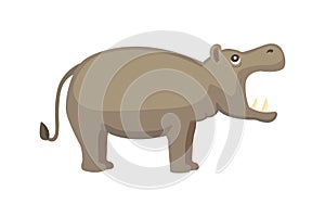 Hippo cartoon style vector. Wild herbivorous animal. African fauna