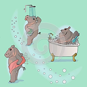 Hippo cartoon taking a shower, in the bathtub and trying off design