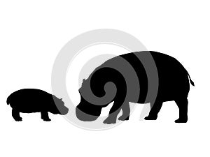 Hippo and cub hippo mammal black silhouette animal