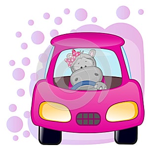 Hippo girl in a car