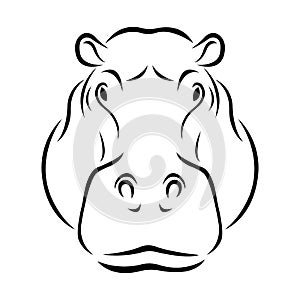 Hippo head black silhouette drawn by various lines on a white background. Tattoo, logo of an animal hypopotamus photo