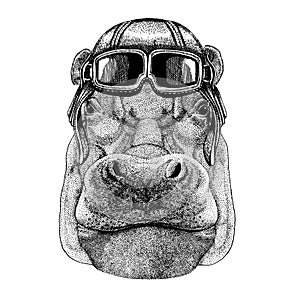 Animal wearing aviator helmet with glasses. Vector picture. Hippo, Hippopotamus, behemoth, river-horse t-shirt, tattoo photo