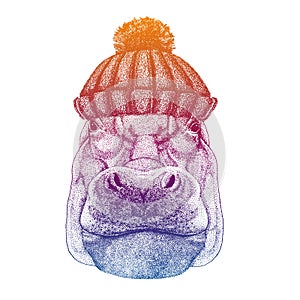 Hippo, Hippopotamus. Ski, skier animal wearing woolen knitted hat. Christmas time. Cartoon character for little children