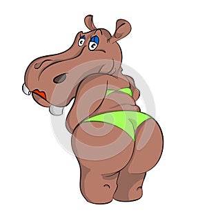 Hippo swimsuit