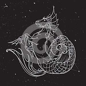 Hippocampus or kelpie mythologic creature. Sketch on a nightsky background.