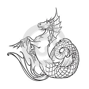 Hippocampus or kelpie supernatural water beast. Black and white sketch. photo