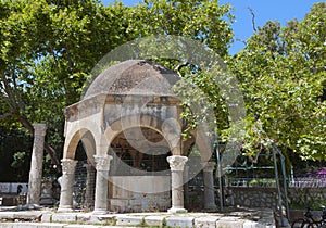 Hippocrates tree at Kos island in Greece photo