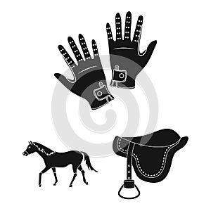 Hippodrome and horse black icons in set collection for design. Horse Racing and Equipment vector symbol stock web