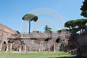 Hippodrome Stadium of Domitian at Palatine hill in Rome. Palatino Roma.