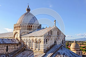 Hippogriff on the Duomo - Pisa