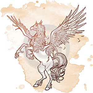 Hippogriff or Hippogryph supernatural beast. Sketch on a grunge background