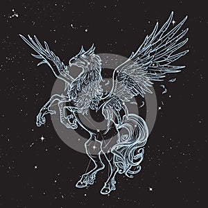 Hippogriff or Hippogryph supernatural beast. Sketch on a nightsky background