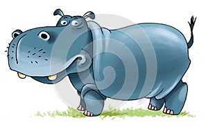Hippopotamus africa nostrils cloven-hoofed mammal