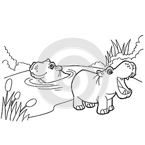 Hippopotamus cartoon coloring pages vector