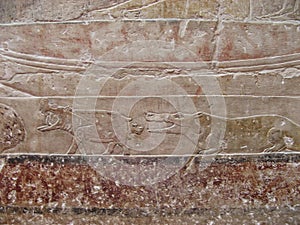 Hippopotamus and crocodile, a hieroglyph in the Ancient Egypt Tomb of Princess Idut photo