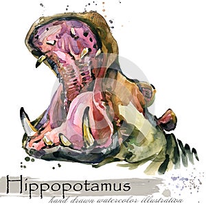 Hippopotamus hand drawn watercolor illustration