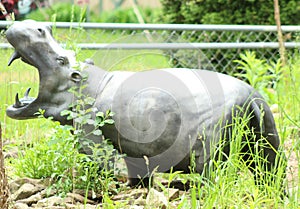 Hippopotamus- life size model, at Forest Park Zoo in Springfield, ma