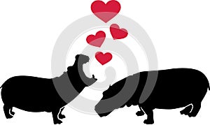 Hippos in love