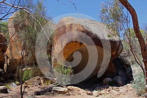 Hippos Yawn in Wave Rock Wildlife Park, Western Australia