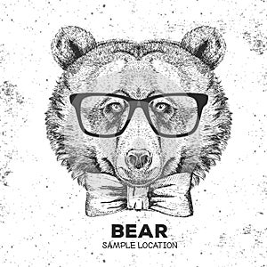 Hipster animal bear. Hand drawing Muzzle of animal dog