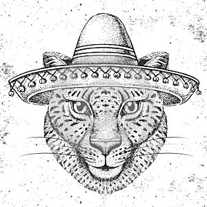 Hipster animal cheetah wearing a sombrero hat. Hand drawing Muzzle of cheetah