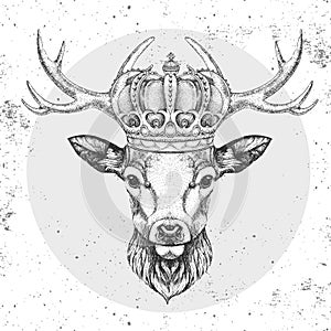 Hipster animal deer in crown. Hand drawing Muzzle of deer