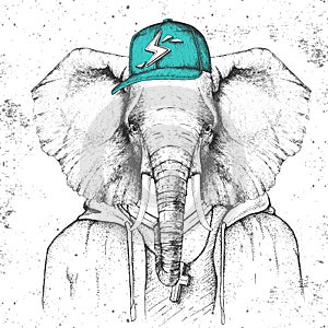 Hipster animal elephant dressed in cap like rapper. Hand drawing Muzzle of elephant