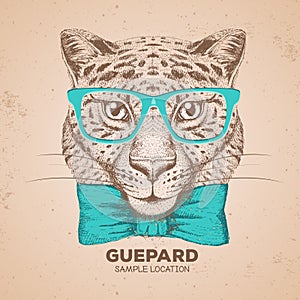 Hipster animal guepard. Hand drawing Muzzle of guepard