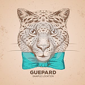 Hipster animal guepard. Hand drawing Muzzle of guepard