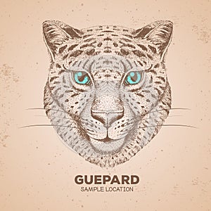 Hipster animal guepard. Hand drawing Muzzle of guepard