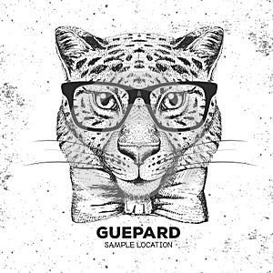 Hipster animal guepard. Hand drawing Muzzle of guepard