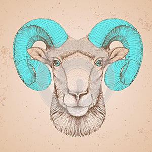 Hipster animal head of ram or mouflon. Hand drawing Muzzle of ram photo